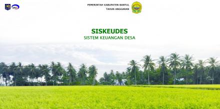 Laporan Realisasi Pelaksanaan APBDesa TA 2017