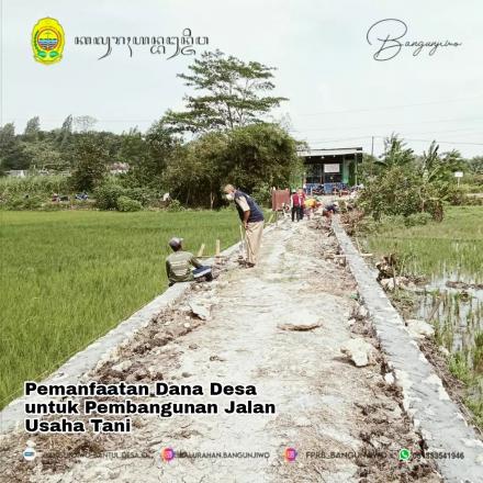 Pemanfaatan Dana Desa untuk Pembangunan Jalan Usaha Tani di Bangunjiwo
